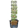 thumbnail image 2 of Titan Tomato Self-Watering Grow Bag & Trellis, 2 of 8