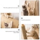 thumbnail image 2 of Rascador para gatos, rascador de sisal, juguete para mascotas, 2 of 6