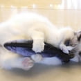 thumbnail image 4 of 50% Off! 30CM Cat Toy Simulation Fish Toy Cat Mint USB Charging Silver Arowana, 4 of 6