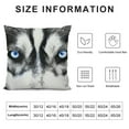 thumbnail image 5 of Autua Husky Blue Eyes Graphic Decorative Throw Pillow Cover for Home Couch Living Room Bed Sofa - Short Plush 1PC 22x22in, 5 of 5