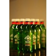 Mountain Valley Spring 16 oz Natural Spring Water Bottle