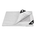 thumbnail image 1 of Lona Blanca Pretul 5 X 6 Mt LP-56B, 1 of 2