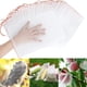 thumbnail image 1 of 100 Uds. Bolsa de protección para plantas y frutas de jardín bolsa de red con cordón insectos plagas de mosquitos pájaros bolsas protectoras para jardín 25cm X 15cm, 1 of 5