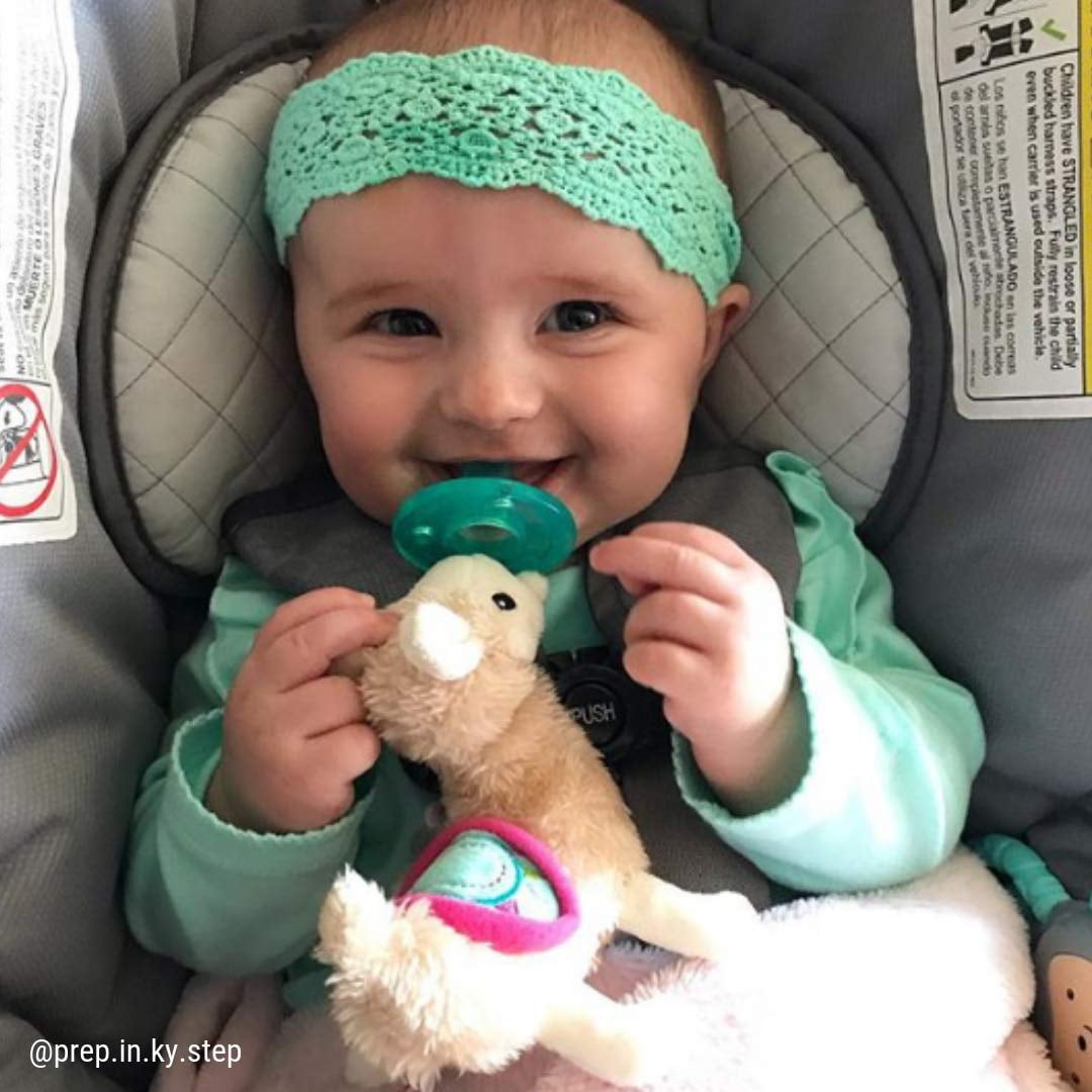 lily llama wubbanub