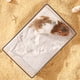 thumbnail image 5 of 1 arenero acrílico para hámster, contenedor para baño de arena para hámster, inodoro para chinchilla, casa de baño de arena., 5 of 5