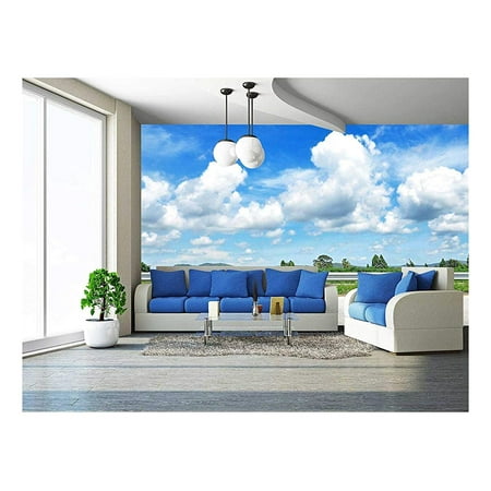 wall26 - Beautiful Roadside View with Green Nature and Blue Sky Background - Removable Wall Mural | Self-adhesive Large Wallpaper - 66x96