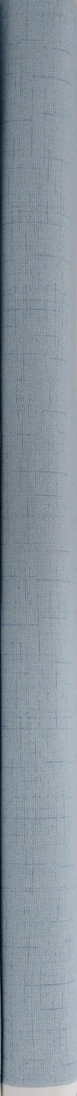 Waverly Inspirations 54" 100% Cotton Sewing and Craft Fabric 8 Yard by the Bolt, Blue, Textures, Spa
