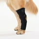 thumbnail image 1 of Corvejón De Perro Dog Hock Brace Anti-lick Pet Rodillera Impermeable Cachorro Herida Vendaje (Negro M), 1 of 3