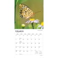 thumbnail image 3 of Butterflies | 2027 12x24" (Hanging) Wall Calendar | Plastic-Free | BrownTrout, 3 of 9