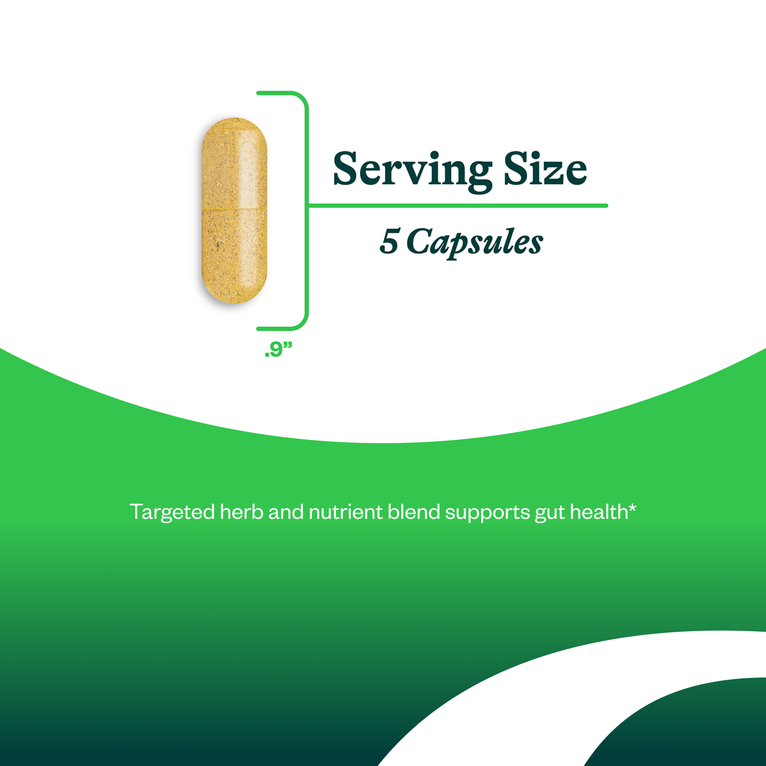 Seeking Health Gut Nutrients, Digestive and Gastrointestinal Support, Glutamine-Free Supplement, Vegan and Vegetarian (150 capsules)*