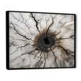 thumbnail image 2 of Designart "Stump'S Natural Aesthetic I" Tree Redwood Floater Framed Wall Decor, 2 of 5