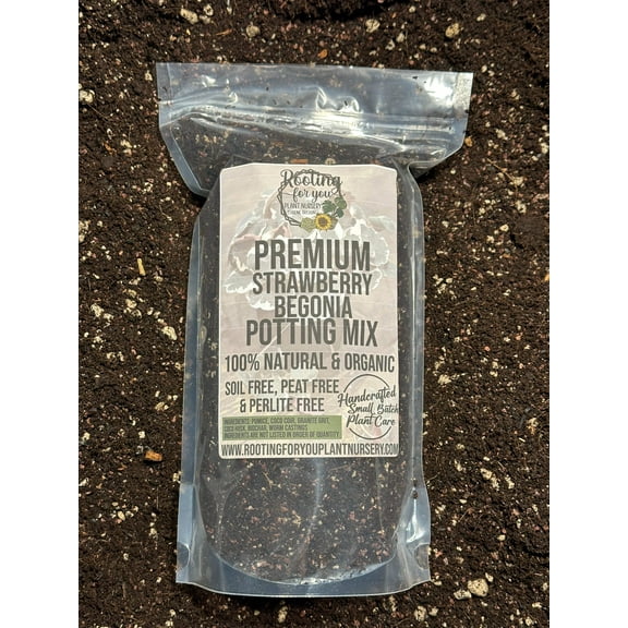 Strawberry Begonia Premium Potting Mix