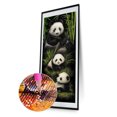 thumbnail image 1 of Cuadros Decorativos Kits de pintura de diamante 5D DIY Taladro redondo completo Panda Imagen de mosaico (Y616) Wdftyju embutido en tela, 1 of 8