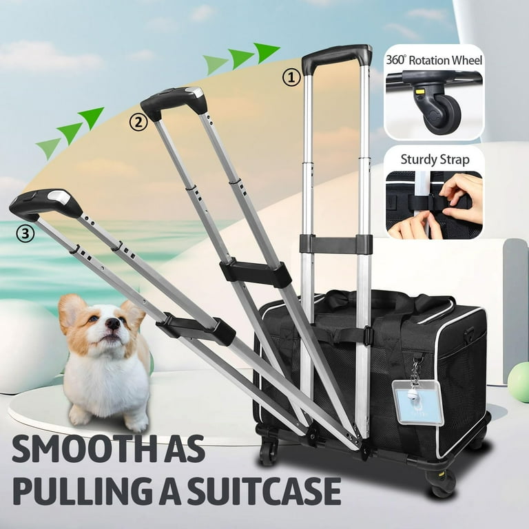 Pets on southwest air hot sale