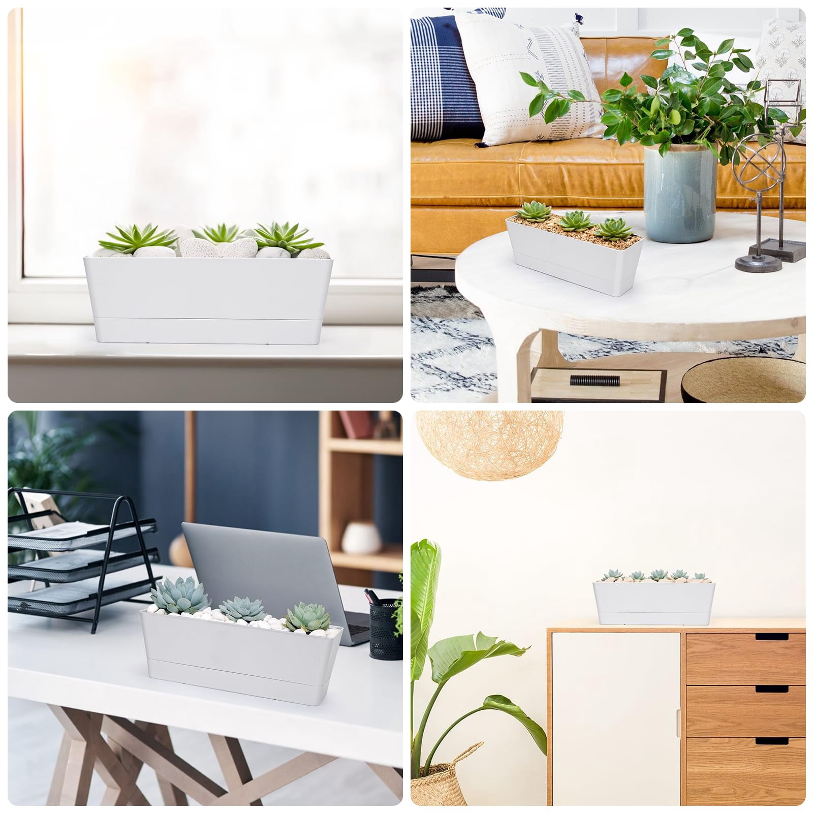 16x3.8 Inch Window Box Planter with Tray, Lightweight Plastic Rectangle Pot for Succulent Cactus, Flower, Vegetable, Herb Gardening, Indoor Outdoor Use