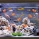thumbnail image 2 of Peces de acuario artificiales Peces de plástico Adorno realista 15 piezas Afortunado Sencillez, 2 of 5