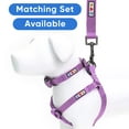 thumbnail image 6 of Pawtitas Solid Color Leash - 6ft Long, Orchid - Great for Small Dogs and Cats, 6 of 9