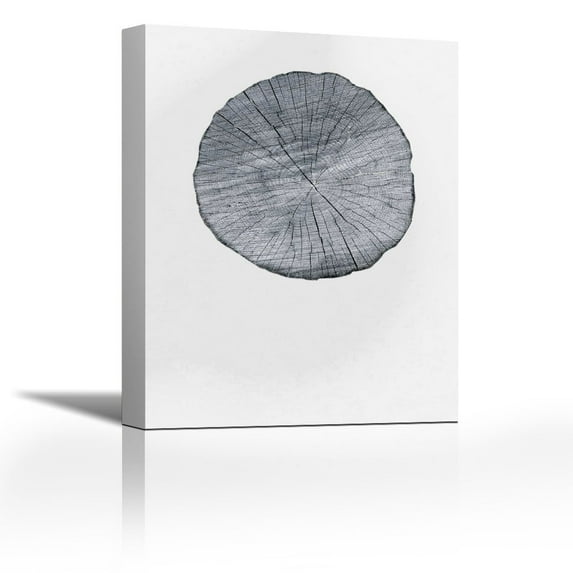 Old Growth Ring Print - Contemporary Fine Art Giclee on Canvas Gallery Wrap - wall décor - Art painting - 27 x 36 Inch - Ready to Hang