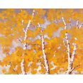 thumbnail image 2 of Reynolds, Graham 14x12 White Modern Wood Framed Museum Art Print Titled - Soft Breeze, 2 of 4