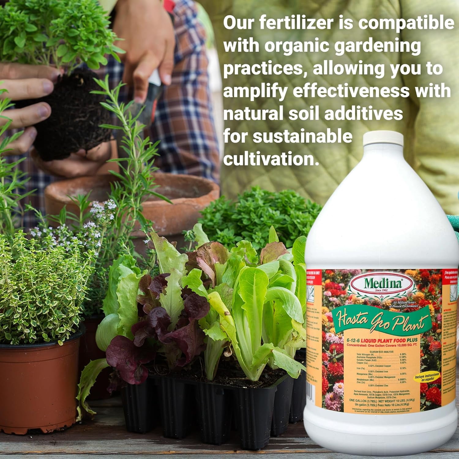 Medina Hasta Gro Plant Food Plus Fertilizer 6-12-8, 1 gal.