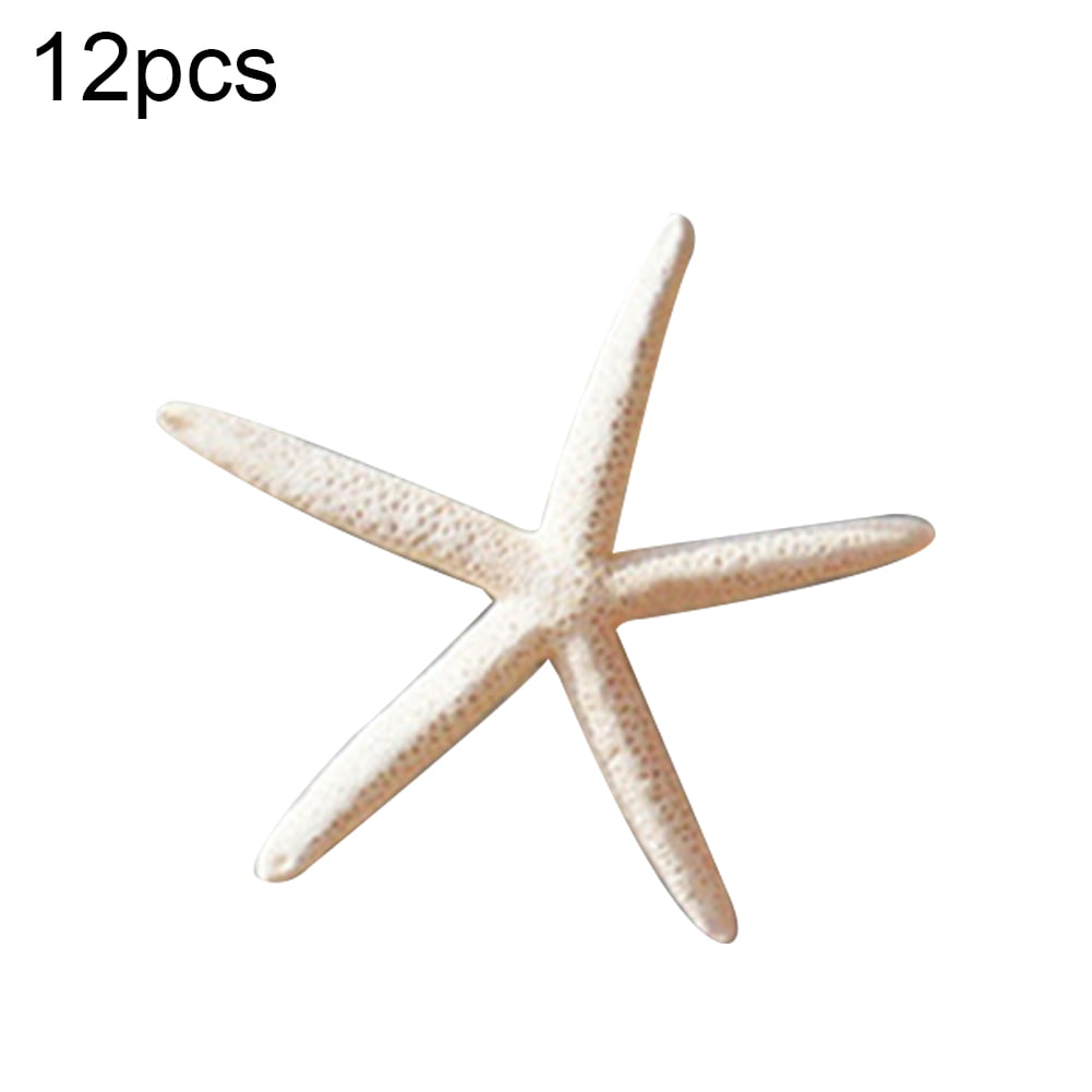 12Pcs 5-10CM Sea Star Natural White Starfish Finger Great Wedding Decoration 