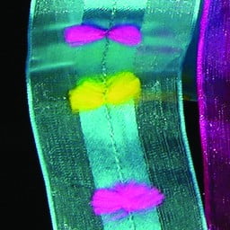 The Ribbon People Blue and Pink Floral Wired Craft Ribbon 1.5" x 27 Yards