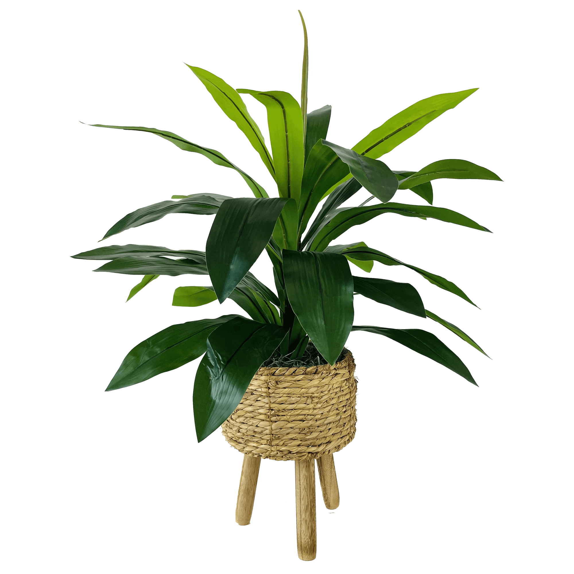 Artificial Plant, 24" Artificial Dracaena Plant in Natural Woven Tripod Basket Stand by LCG Florals, Faux Designer Fake Indoor Plant for Living Room, Office, and Home Décor