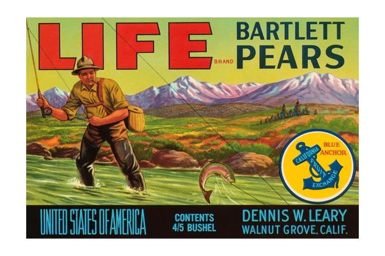 Life Brand Bartlett Pears Dennis W Leary Walnut Grove California Label