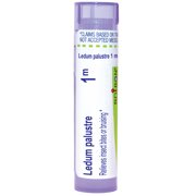 Boiron Ledum Palustre 1M, Homeopathic Medicine for Insect Bites Or Bruising Relief, 80 Pellets