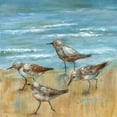 thumbnail image 2 of Nan 20x20 White Modern Wood Framed Museum Art Print Titled - Sandpipers III, 2 of 4