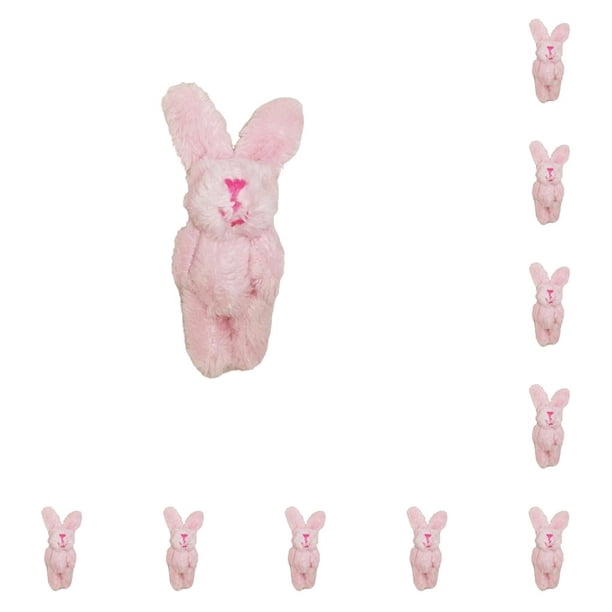 Yuarrent Mini Conejos Conjuntos Conejito de Peluche Adornos Colgantes Muñeca Regalos Rosa 6cm Rosa 6cm 10Conjunto