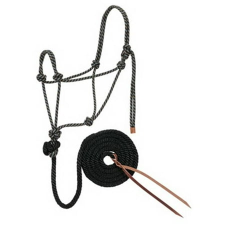 Weaver Leather 35-7800-R9 0. 5 x 10 inch Black & Tan Halter