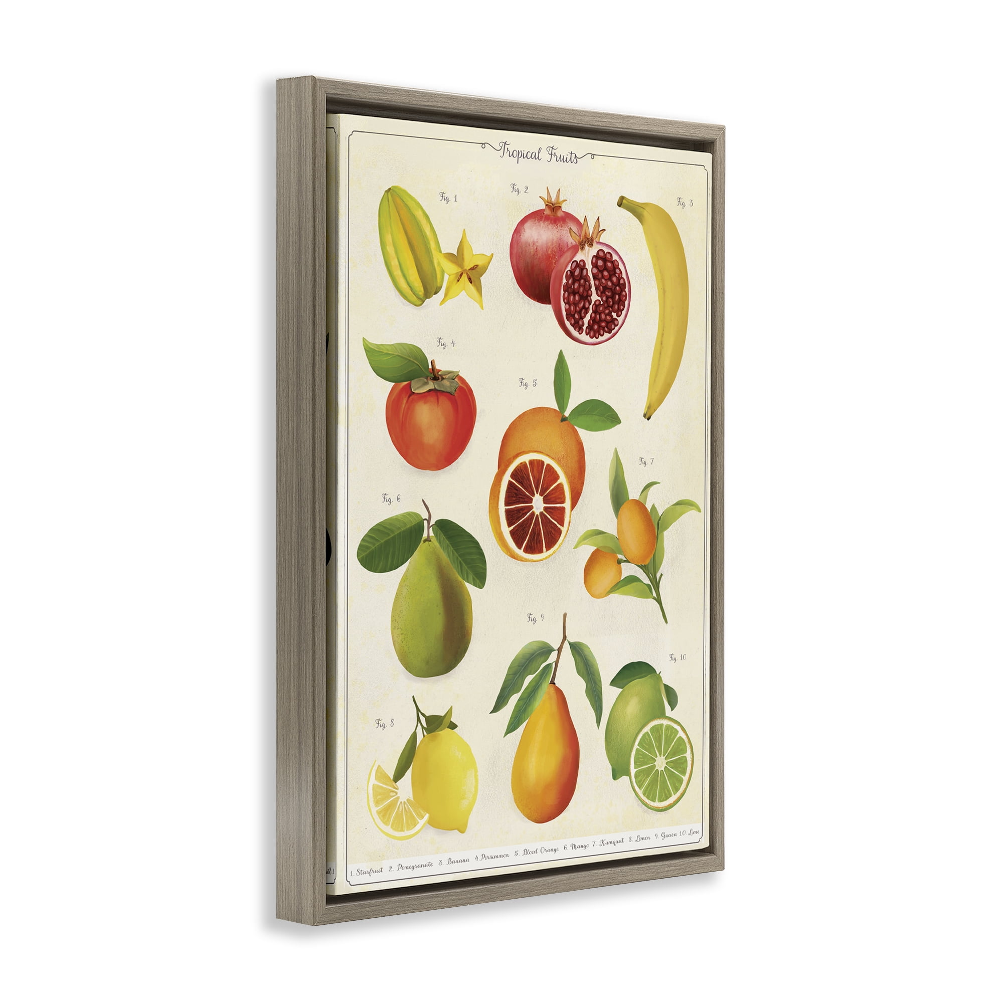 Stupell Industries Vintage Tropical Fruit Studies Brown Framed Floater Canvas Wall Art, design by Diane Neukirch