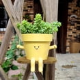 thumbnail image 3 of YAOMOBB Swing Design Planter Resin Flowerpot Hanging Planter Pot Adorable Smiling Expression Garden Indoor Outdoor Decoration, 3 of 6