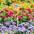 thumbnail image 3 of Eveokoki Hello Sunshine Summer Garden Yard Sign 8×12 Inch Aluminum Grass Lawn Sign With Stake for Outside Sunflower Seasonal Holiday Decorative Yard Decoration, 3 of 6