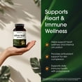 thumbnail image 2 of NatureBell Olive Leaf Extract - 240 Capsules - High Strength 50:1 Concentrated Extract with Oleuropein - Immune, Heart & Circulation Support - 120 Servings, 2 of 8