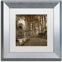 Trademark Fine Art "Fiesole Giardini II" Canvas Art by Alan Blaustein, White Matte, Silver Frame