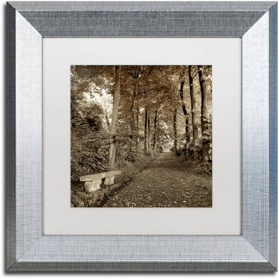 Trademark Fine Art "Fiesole Giardini II" Canvas Art by Alan Blaustein, White Matte, Silver Frame