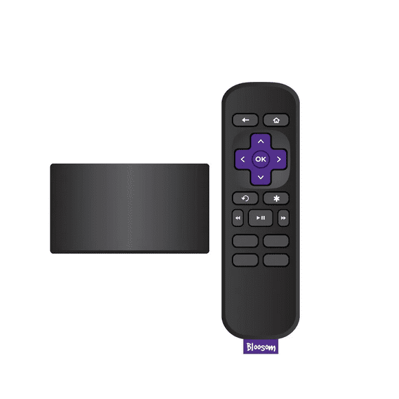 Roku Bloosom Express 3960 estándar Full HD negro