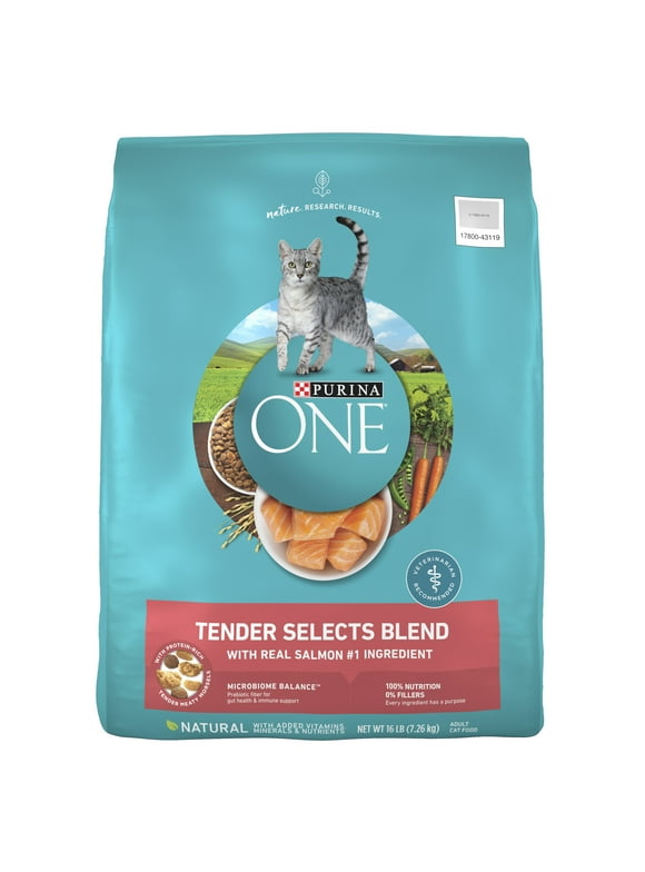 Purina One Cat Food in Purina One