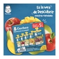 thumbnail image 5 of Alimento para niños Gerber a partir de los 12 meses varios sabores 5 pzas, 5 of 5