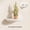 White-28cm, variant on Solid Wooden Semicircle Wall Shelves Background Entryway Decorative Floating Organization Storage Holders Bedroom Kitchen Racks