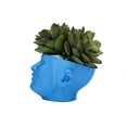 thumbnail image 4 of Clever Contraptions "Pot Head" Succulent Planter Vase - Medium, 4 of 9