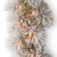 thumbnail image 4 of National Tree Company Pre-Lit Artificial Christmas Garland, Green, Glittery Bristle Pine, White Lights, Decorated With Frosted Branches, Plug In, Christmas Collection, 9 Feet, 4 of 5