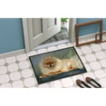 thumbnail image 2 of Carolines Treasures MH1055JMAT Pomeranian Full Body Door Mat Indoor Rug or Outdoor Welcome Mat 24x36 Doormat  36"L x, 2 of 4