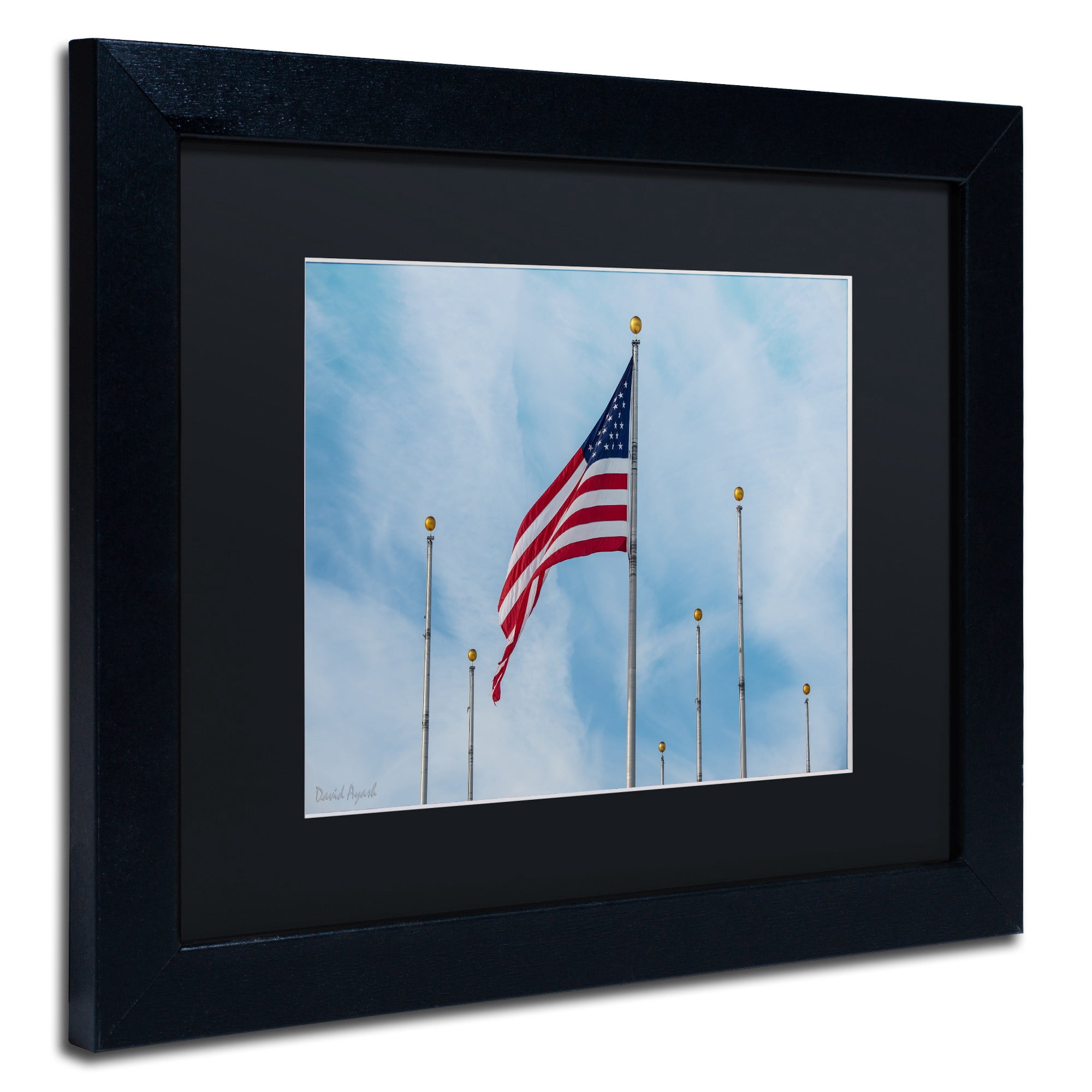 Trademark Fine Art "Red, White and Blue" Canvas Art by David Ayash Black Matte, Black Frame