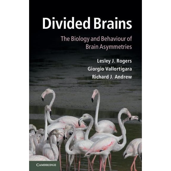 Divided Brains: The Biology and Behaviour of Brain Asymmetries, (Hardcover)