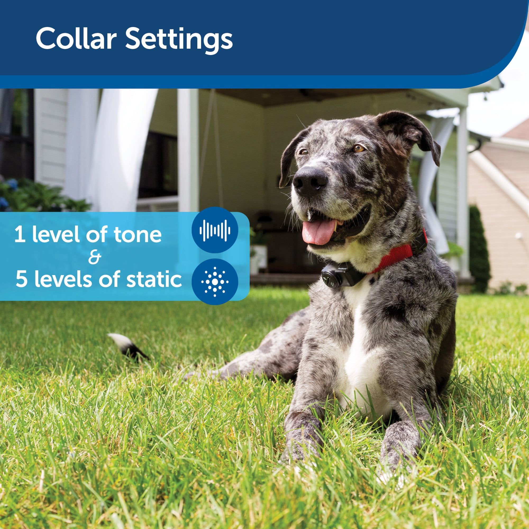 petsafe ultralight collar