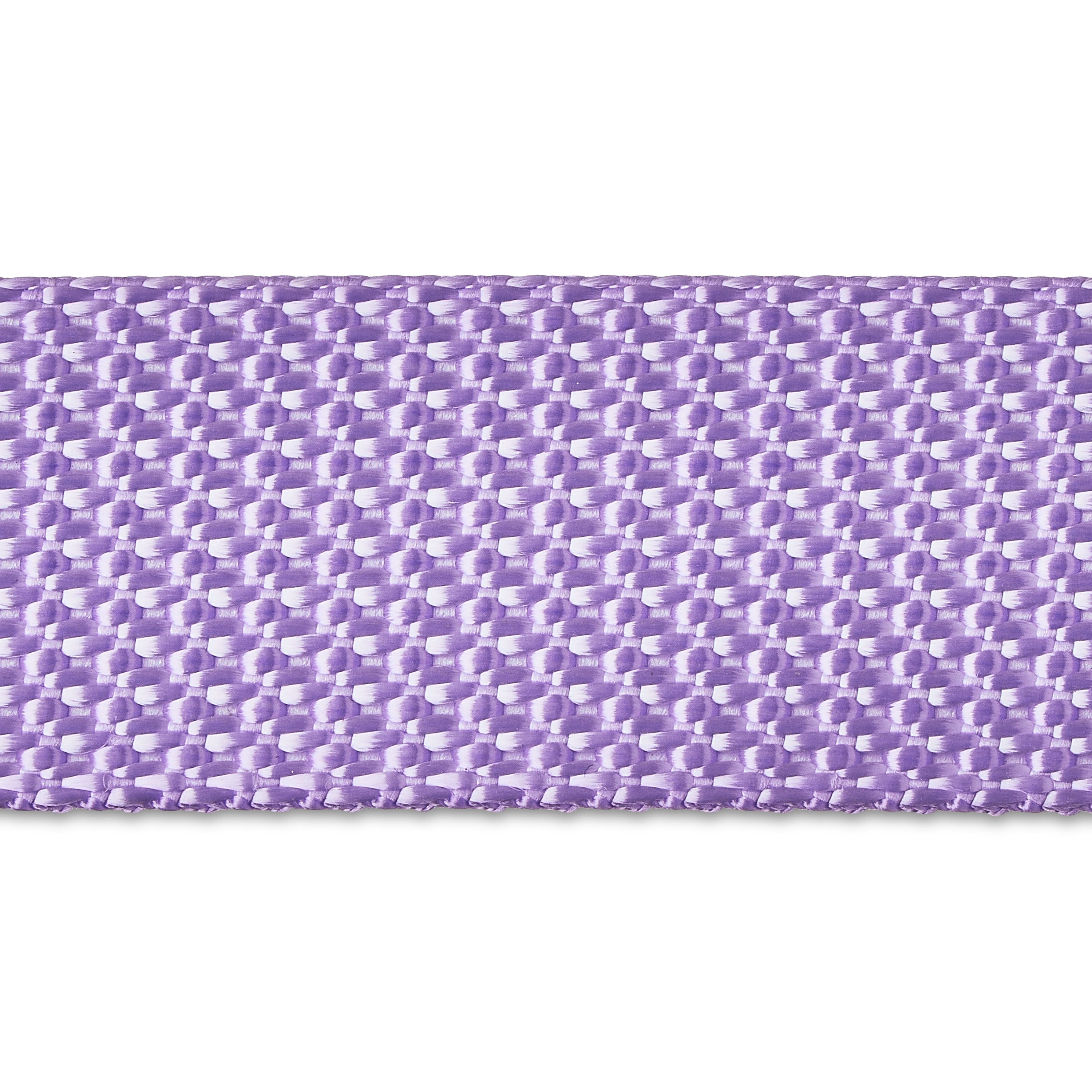 Vibrant Life 6 ft Neoprene Cushioned Leash, Lavender, Medium / Large