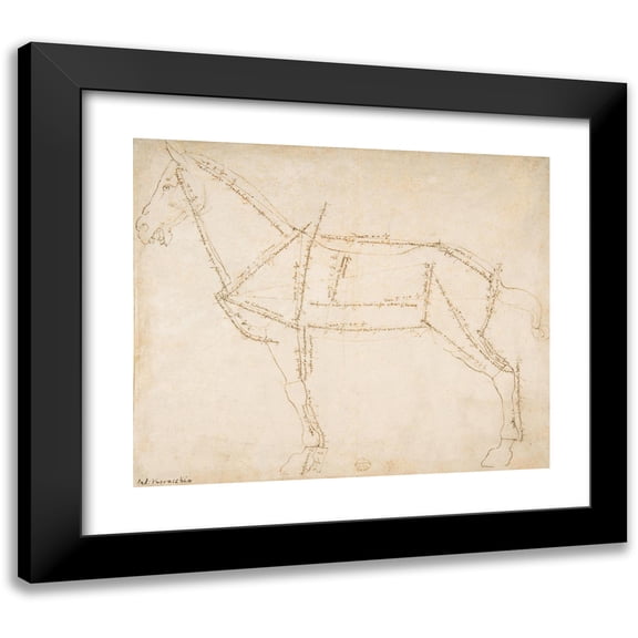 Andrea del Verrocchio 14x12 Black Modern Framed Museum Art Print Titled - Measured Drawing of a Horse Facing Left (ca. 1480-88)